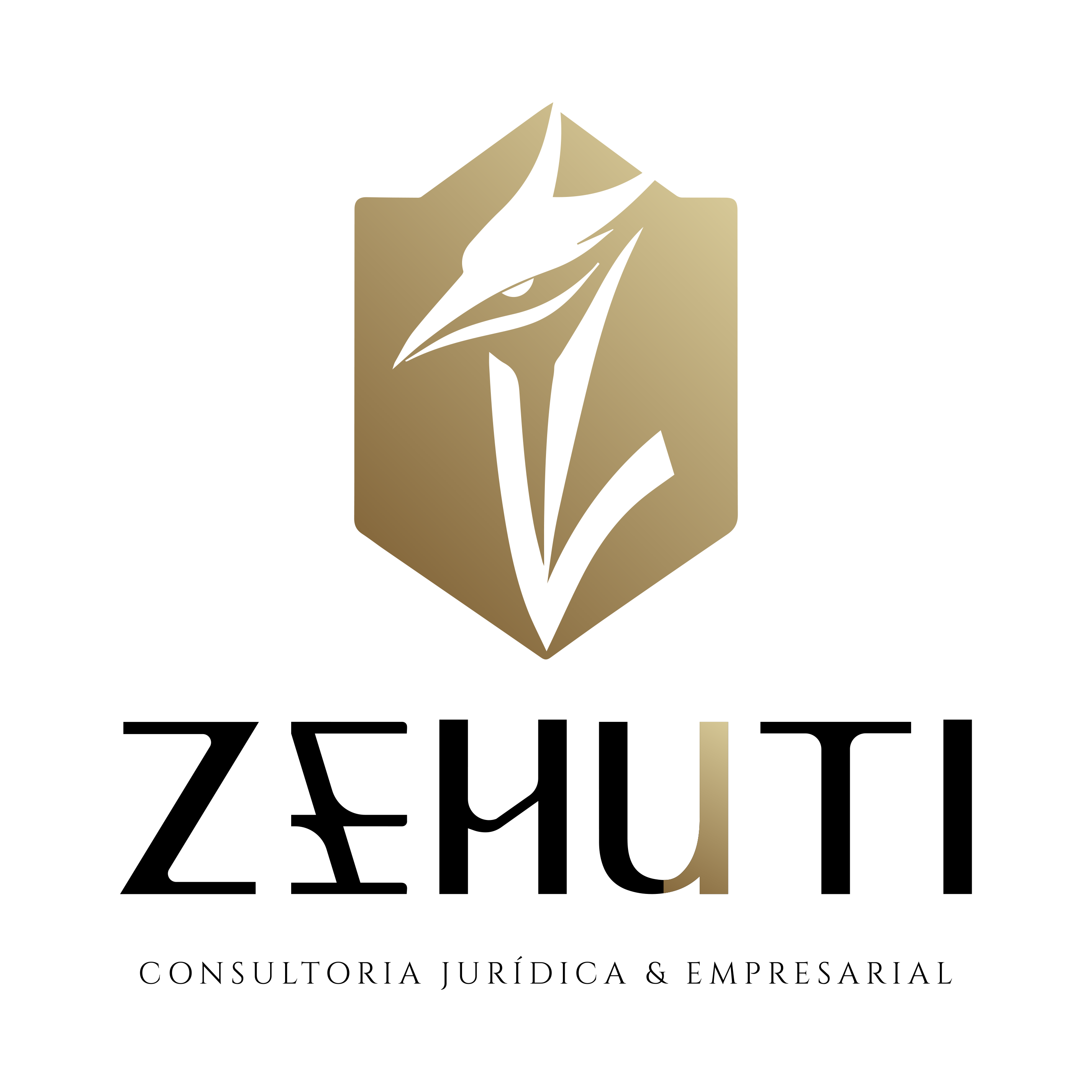 zehuti-logo